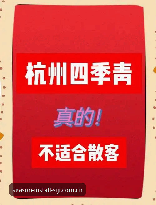 资深用户分享：四季安卓版使用指南与实战心得